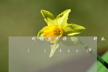 銀行信用卡停息掛賬什么收費標(biāo)準(zhǔn)-銀行信用卡停息掛賬什么收費標(biāo)準(zhǔn)啊