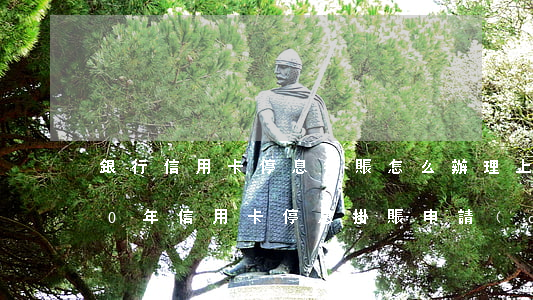 銀行信用卡停息掛賬怎么辦理上海-2020年信用卡停息掛賬申請(qǐng)辦法