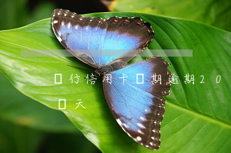 銀行信用卡兩期逾期(2021年信用卡逾期兩天)