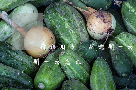 銀行信用卡兩期逾期一天(銀行信用卡兩期逾期一天怎么辦)