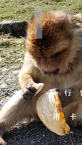 銀行信用卡分期逾期兩個(gè)月(銀行信用卡分期逾期兩個(gè)月會(huì)怎么樣)