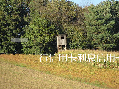 銀行 信用卡 利息（信用卡利息咋樣）