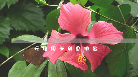 銀行信用卡利息排名
