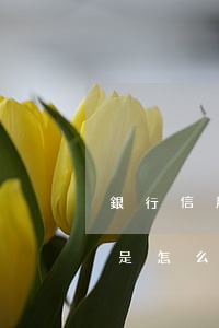 銀行信用卡利息范圍-請問用信用卡的利息是怎么算的?