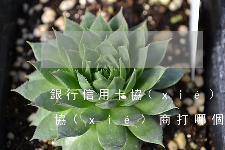 銀行信用卡協(xié)商攻略-跟信用卡協(xié)商打哪個電話
