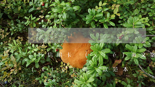 銀行信用卡協(xié)商文案(跟信用卡協(xié)商還款范本)
