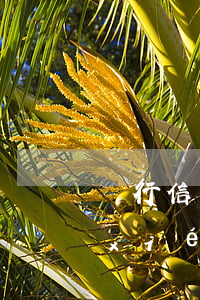 銀行信用卡協(xié)商本金(行用卡協(xié)商還款)