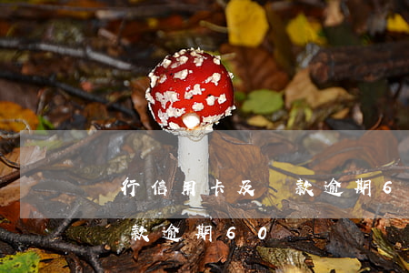 銀行信用卡及貸款逾期60萬（銀行信用卡及貸款逾期60萬）