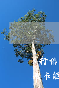 銀行信用卡可以透支多少錢(qián)(信用卡能透支多少錢(qián))