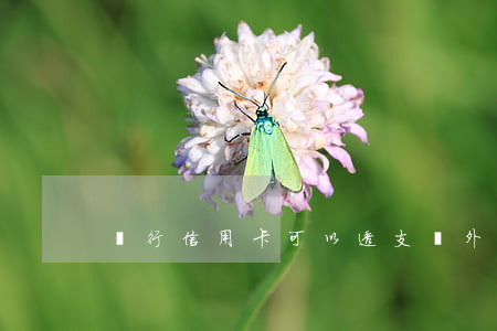 銀行信用卡可以透支換外匯
