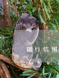 銀行信用卡多久不還起訴(信用卡多久不還會(huì)被起訴)