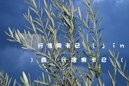 銀行信用卡已經(jīng)不協(xié)商(銀行信用卡已經(jīng)不協(xié)商)
