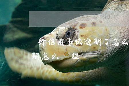 銀行信用卡快逾期了怎么辦(欠銀行信用卡逾期怎么處理)