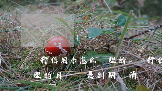 銀行信用卡怎么辦理的-銀行信用卡怎么辦理的月還還是到期還清