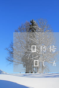 銀行信用卡欠175元(欠銀行信用卡多少錢會(huì)被起訴)