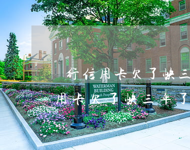 銀行信用卡欠了快三年了會怎么樣-銀行信用卡欠了快三年了會怎么樣嗎