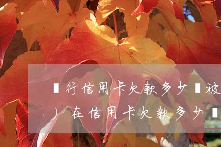 銀行信用卡欠款多少會被起訴(現(xiàn)在信用卡欠款多少會被起訴)