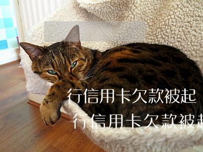 銀行信用卡欠款被起訴要還多少可以撤訴-銀行信用卡欠款被起訴要還多少可以撤訴