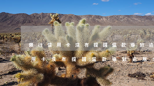銀行信用卡沒有提醒還款導致逾期-銀行信用卡沒有提醒還款導致逾期怎么辦