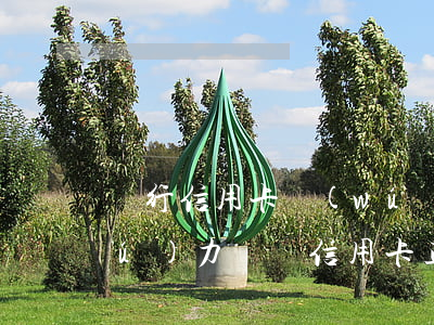 銀行信用卡無(wú)力償還怎么辦(無(wú)力償還信用卡正確解決辦法)