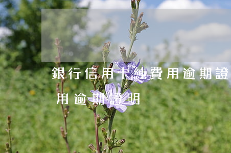 銀行信用卡純費用逾期證明(銀行信用卡純費用逾期證明)