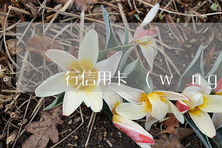 銀行信用卡網(wǎng)貸逾期