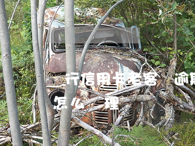 銀行信用卡老客戶逾期了(銀行對于逾期客戶怎么處理)