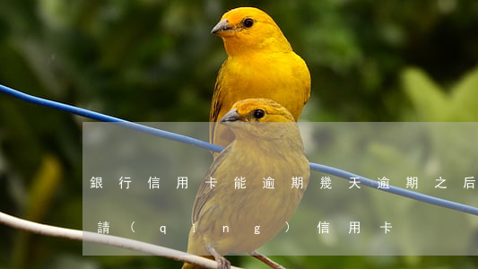 銀行信用卡能逾期幾天(逾期之后多久可以申請(qǐng)信用卡)