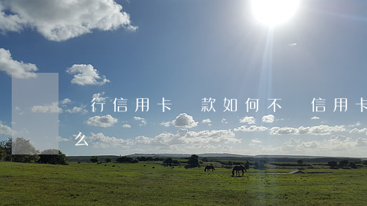 銀行信用卡貸款如何不還(信用卡不讓還款怎么辦)