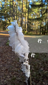 銀行信用卡貸款逾期會(huì)怎么樣(銀行貸款逾期和信用卡逾期有什么區(qū)別)