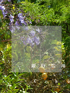 銀行信用卡起訴的流程(信用卡訴訟流程及準(zhǔn)備材料)