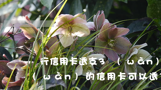 銀行信用卡透支3萬(wàn)元不還(三萬(wàn)的信用卡可以透支多少)