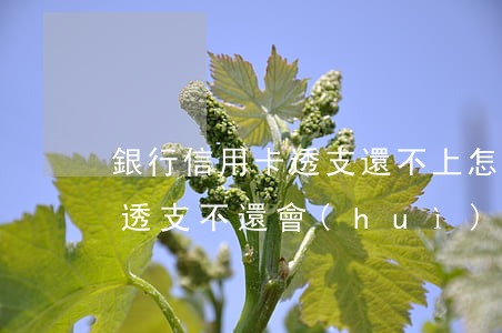 銀行信用卡透支還不上怎么處理-欠信用卡透支不還會(huì)有什么問題