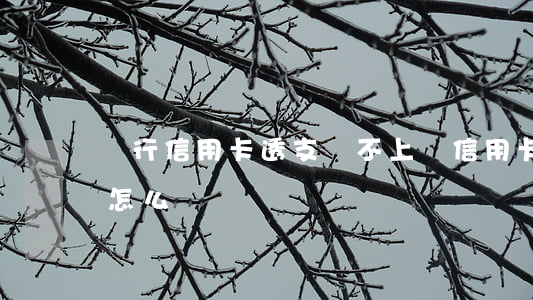 銀行信用卡透支還不上辦(信用卡透支還不上怎么辦)