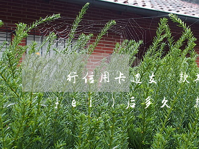 銀行信用卡透支還款期限(信用卡透支消費(fèi)后多久還款)