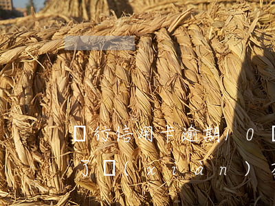 銀行信用卡逾期10(銀行信用卡逾期10年了 現(xiàn)在有錢(qián)了還款還要拿利息嗎)
