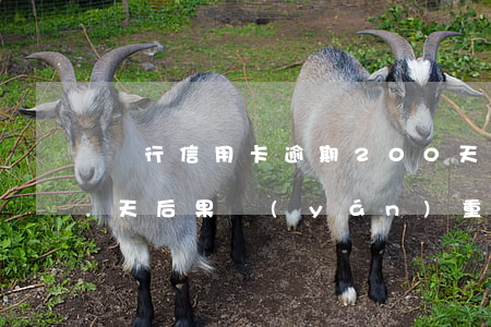 銀行信用卡逾期200天(信用卡逾期100天后果嚴(yán)重嗎)