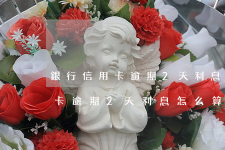 銀行信用卡逾期2天利息怎么算-銀行信用卡逾期2天利息怎么算的