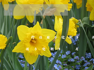 銀行信用卡逾期3個月沒還怎么辦-銀行信用卡逾期3個月沒還怎么辦呢