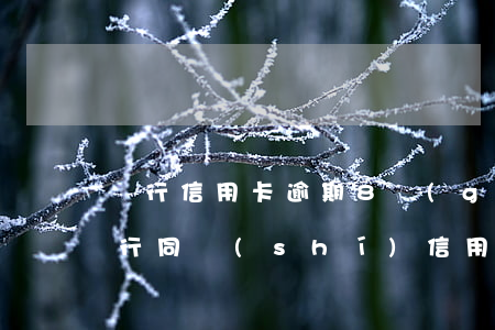 銀行信用卡逾期8個(gè)月-七八家銀行同時(shí)信用卡逾期怎么辦