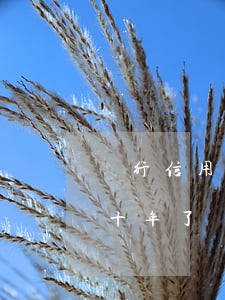 銀行信用卡逾期8年(欠幾家銀行信用卡逾期十年了)