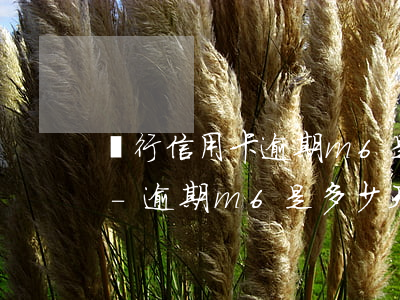 銀行信用卡逾期m6是多久時(shí)間-逾期m6是多少天的