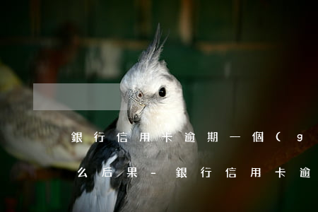 銀行信用卡逾期一個(gè)月后還上有什么后果-銀行信用卡逾期一個(gè)月后還上有什么后果嗎