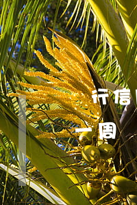 銀行信用卡逾期一天有沒有影響?（信用卡逾期一周還款有什么后果）
