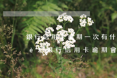 銀行信用卡逾期一次有什么影響(在一個(gè)銀行信用卡逾期會(huì)不會(huì)影響別的信用卡)
