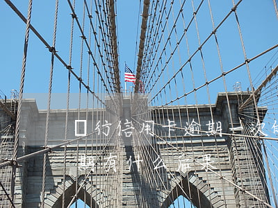 銀行信用卡逾期一次的影響(銀行卡信用卡逾期有什么后果)