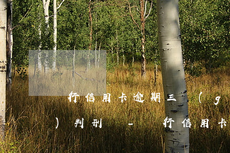 銀行信用卡逾期三個(gè)月會(huì)判刑嗎-銀行信用卡逾期三個(gè)月會(huì)判刑嗎知乎