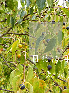 銀行信用卡逾期三個(gè)月會(huì)怎么樣嗎-銀行信用卡逾期三個(gè)月會(huì)怎么樣嗎知乎