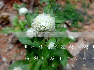銀行信用卡逾期三期沒(méi)還(信用卡逾期3期會(huì)怎樣)