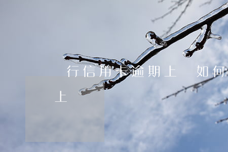 銀行信用卡逾期上門如何處理(信用卡逾期會上門嗎)